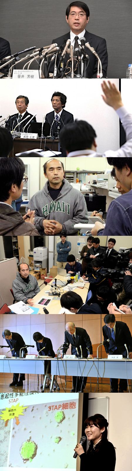 「STAP細胞」から「STAP現象」へ - 定義を改竄する理研のアルケミー_c0315619_16315789.jpg