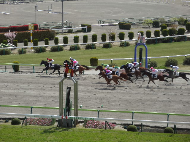 福島競馬を楽しむ_c0141223_21133989.jpg