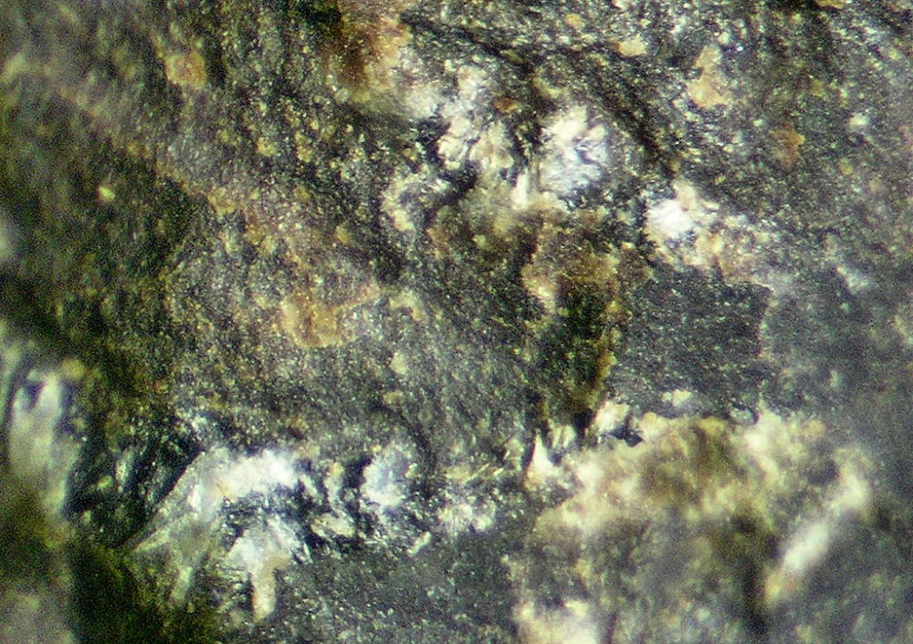 d0045626_20585426.jpg
