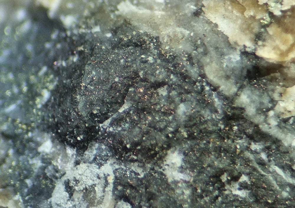 d0045626_2155681.jpg