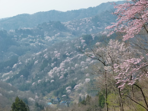 陸郷 桜仙峡 おうせんきょう 信州安曇野池田 92さんの独り言 陸郷 桜仙峡 おうせんきょう 信州安曇野池田 92さんの独り言