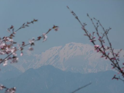 陸郷 桜仙峡 おうせんきょう 信州安曇野池田 92さんの独り言 陸郷 桜仙峡 おうせんきょう 信州安曇野池田 92さんの独り言