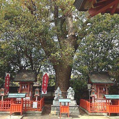 事代主「天の逆手」と久高島_a0300530_1805841.jpg