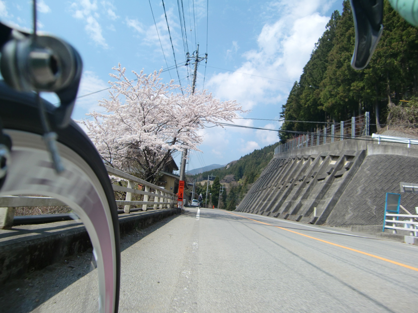 【チャリ】道志みちを走る_a0293131_172278.jpg