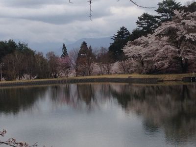 菅の台へ桜を見にいって来ました。_b0271737_13531629.jpg