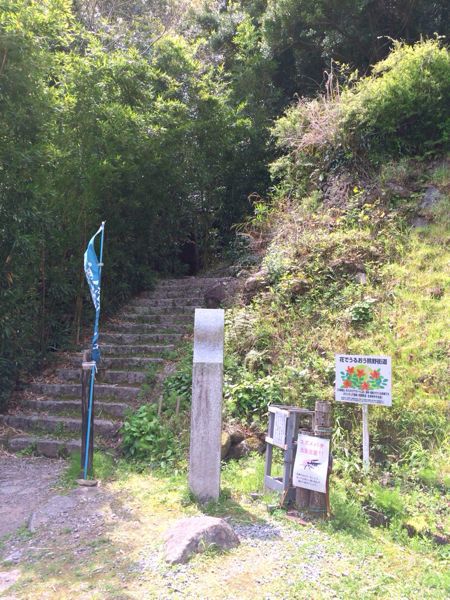 熊野古道@松本峠・花の窟コース_e0292546_704697.jpg