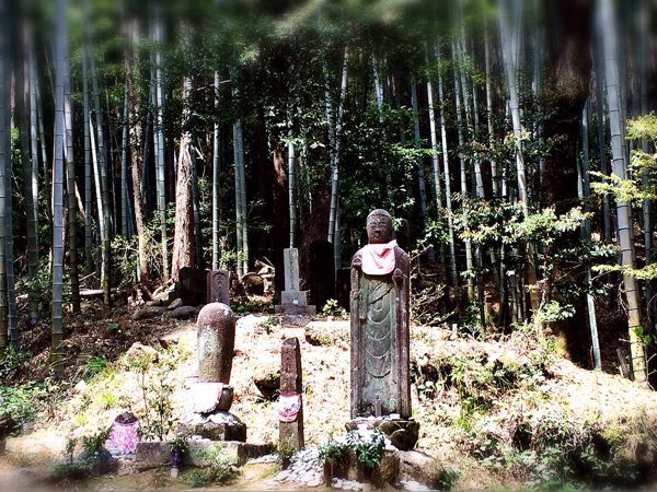 熊野古道@松本峠・花の窟コース_e0292546_705087.jpg