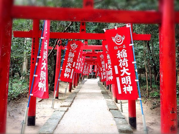 熊野古道@松本峠・花の窟コース_e0292546_71165.jpg