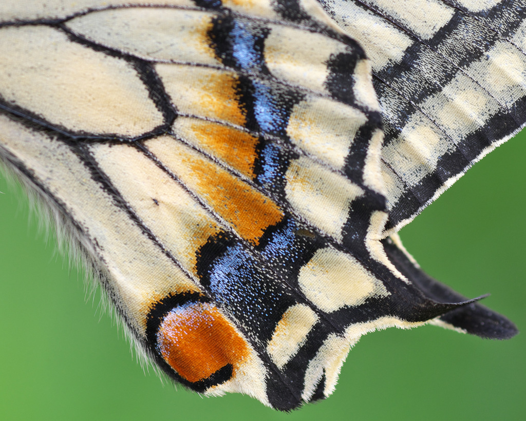 b0147449_18324236.jpg