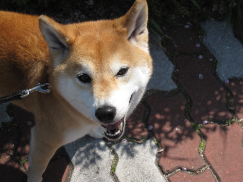 f0245650_07293674.jpg