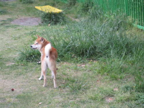 f0245650_07345019.jpg
