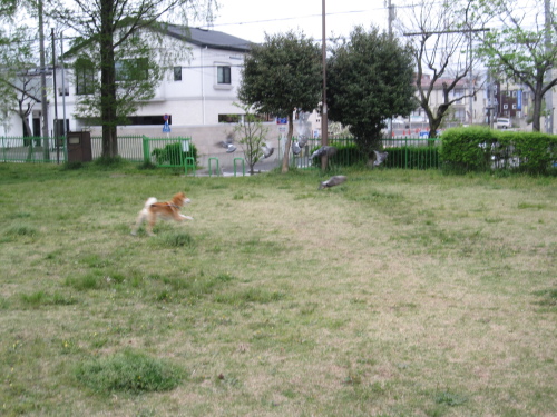f0245650_07362722.jpg
