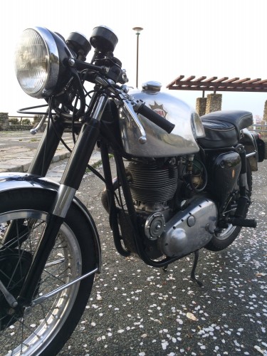 Brand new Lyta petrol Tank for DBD GoldStar 続き その2_f0326751_15470841.jpg