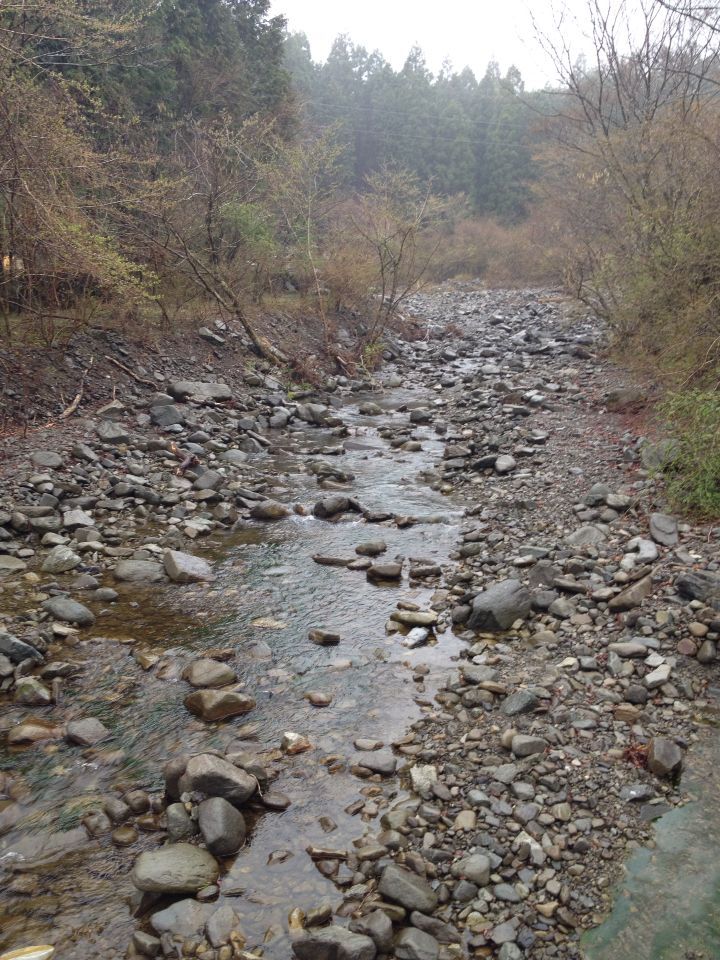 b0008655_7504642.jpg