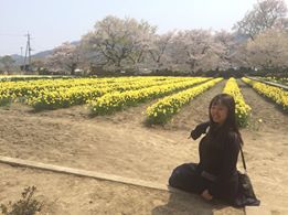 日本三大桜 樹齢約2000年日本最古の桜_f0109257_5591717.jpg