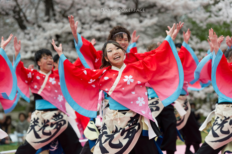 2014 京都さくらよさこい 4_d0079559_10321431.jpg