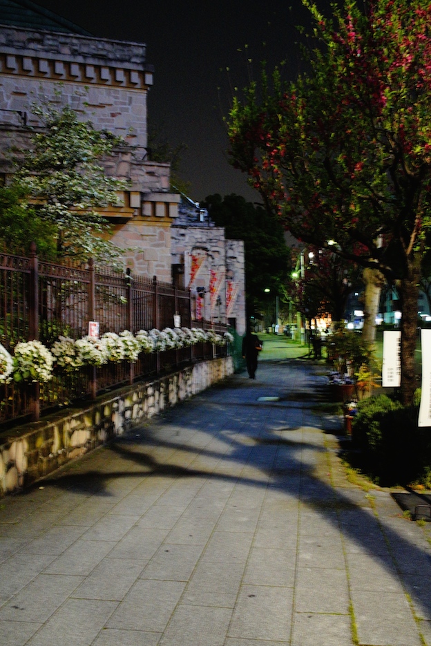 f0134963_10010246.jpg