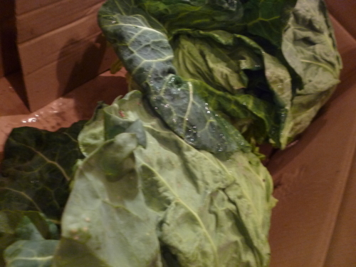 野菜もですね~_e0252966_13052658.jpg