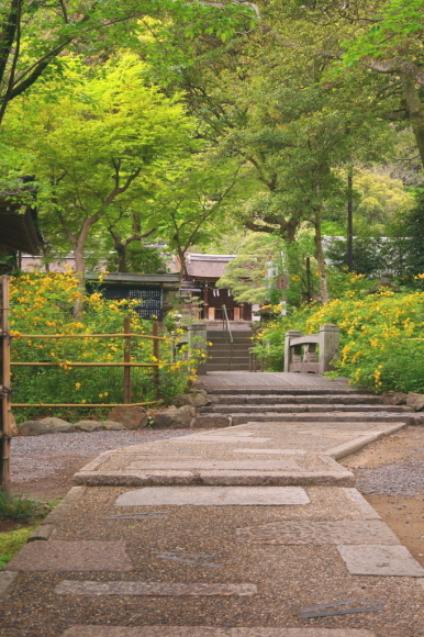 b0272368_11461968.jpg