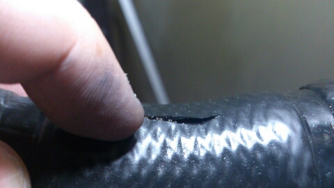 e0046771_1133374.jpg