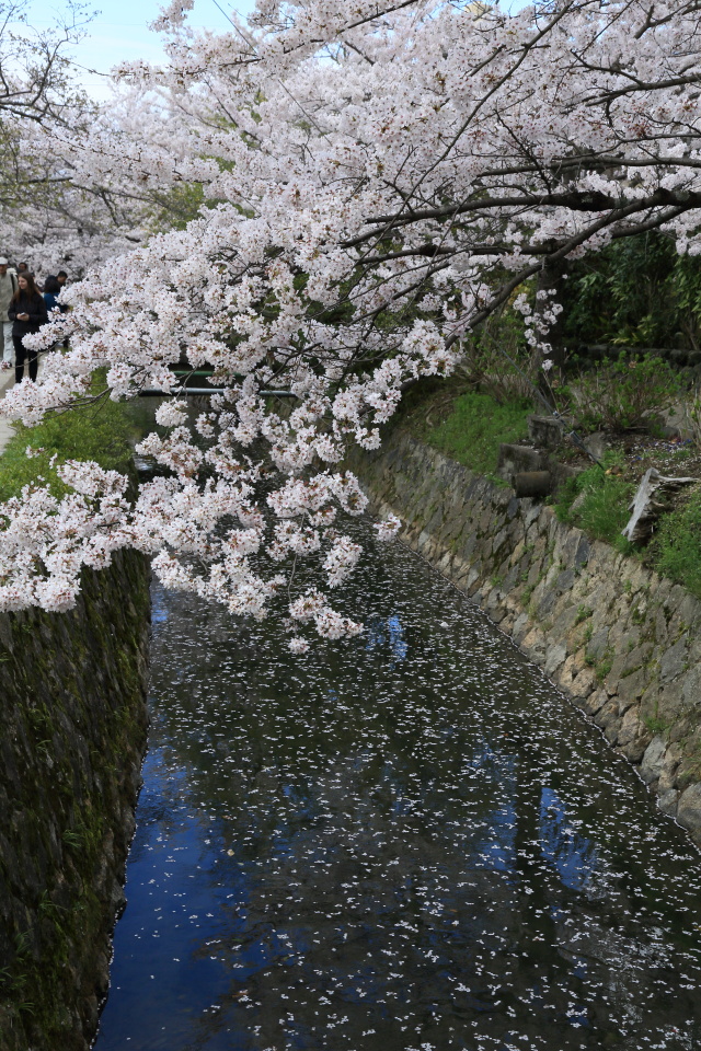 哲学の道（１）_e0096372_17372481.jpg