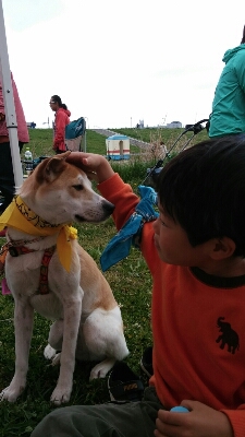 f0238772_16254451.jpg