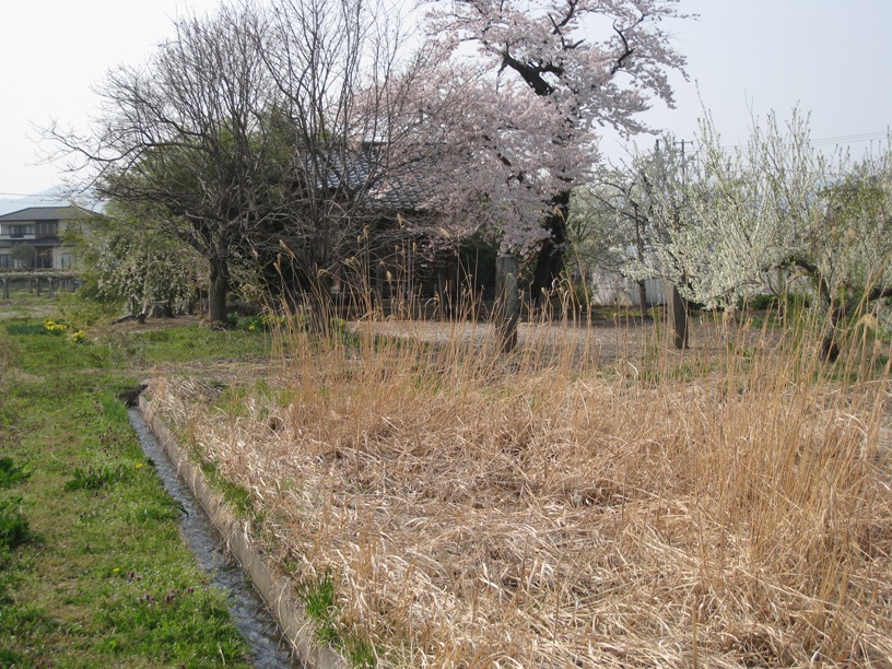 のりしろ散歩～野寺情報を求めて追分を南へ進む②勢至観音堂_a0087378_6281399.jpg