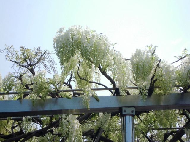 a0082884_19321310.jpg
