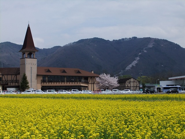 光城山の桜_b0112186_21371497.jpg