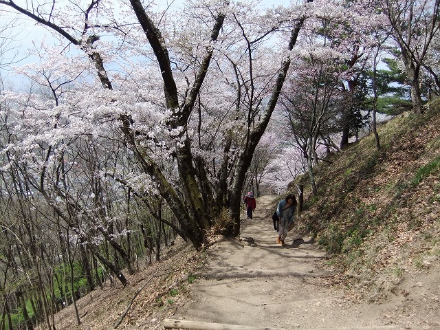 b0112186_2210029.jpg