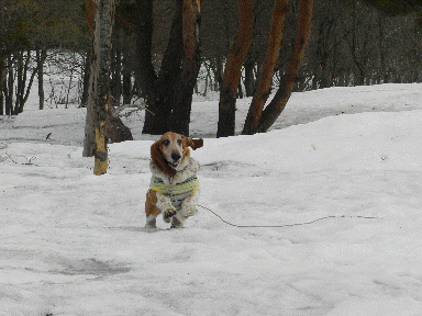 f0205887_1931463.gif