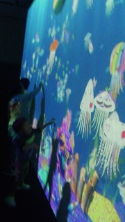 d0165589_31835.jpg