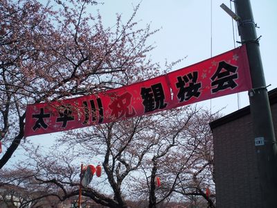 太平川観桜会_e0239190_7454273.jpg