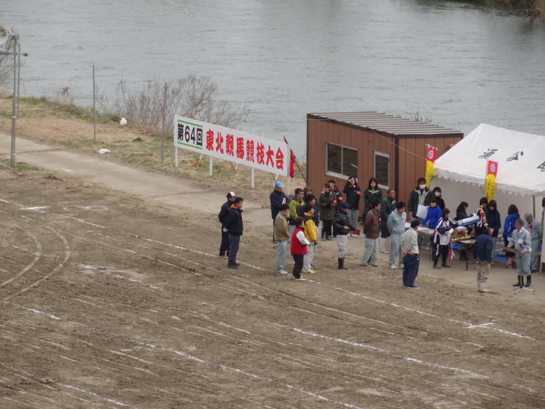 桜真っ最中！涌谷町の東北輓馬競技大会に行った_f0075595_12237.jpg