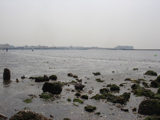 e0147297_1026830.jpg