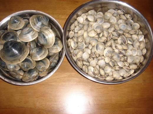 e0147297_10292349.jpg