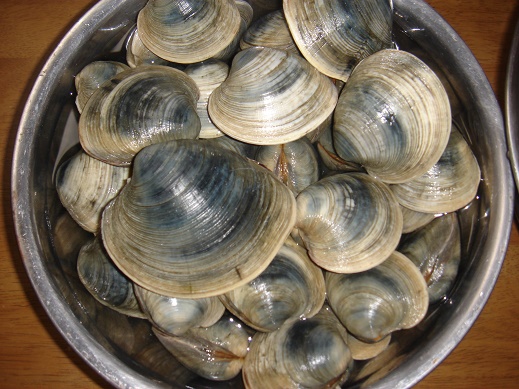 e0147297_10314338.jpg
