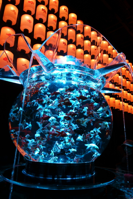 金魚-ラスト_e0135098_773164.jpg