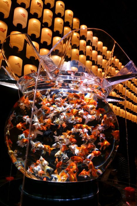 金魚-ラスト_e0135098_77921.jpg