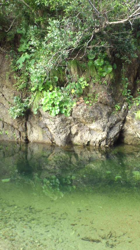 c0220499_90953.jpg