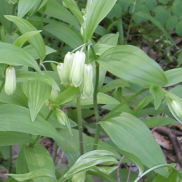 c0124100_22195212.jpg