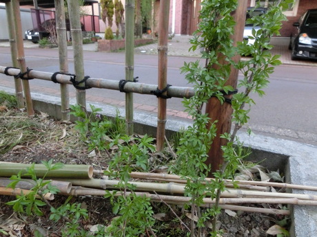 a0203003_1931146.jpg