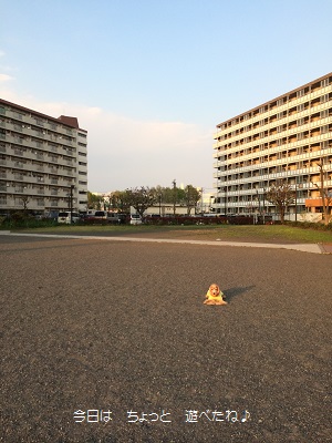 a0134004_222890.jpg