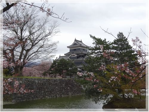 長野県　桜めぐり③　2日目は松本城、高島城、高遠へ_d0048312_15374571.jpg