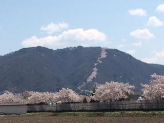 c0047814_1434493.jpg