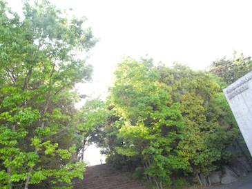 定休日 往生写集_d0263815_2247262.jpg