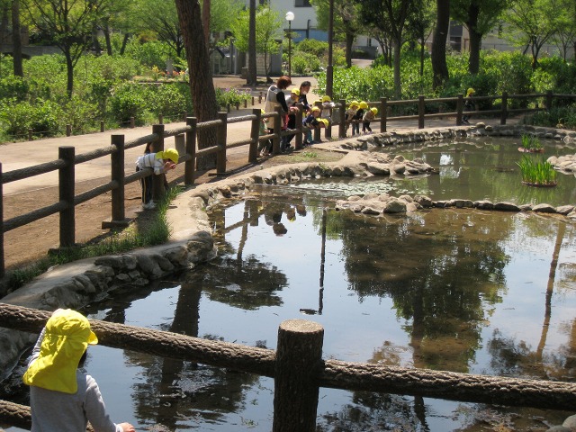 e0117318_1738289.jpg
