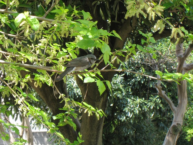 e0117318_17502029.jpg