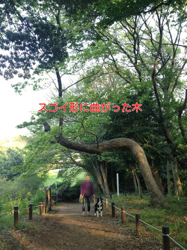 a0232619_20101354.png