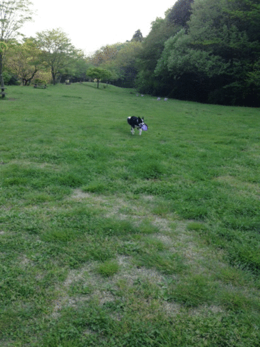 a0232619_2072648.gif